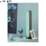 اکولایزر بزرگ دارای کنترل ریموت مدل D04-RGB01